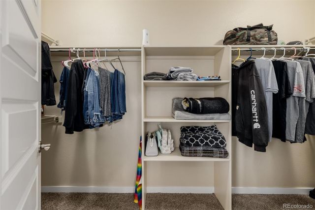 1693 Maseca Plaza Way, Severance, CO 80550