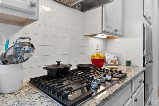 13114 Salty Spgs, San Antonio, TX 78253