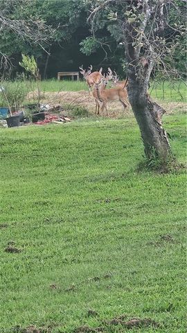 140 Allen Road, Reidsville, NC 27320