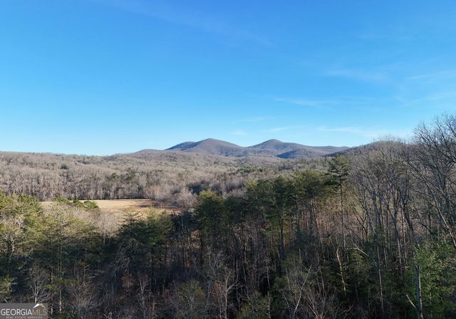 306 Native Trail, Blue Ridge, GA 30513