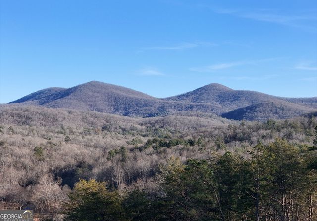 306 Native Trail, Blue Ridge, GA 30513