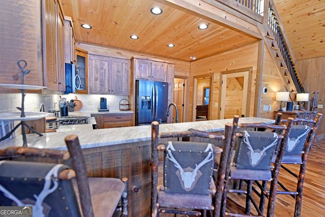 306 Native Trail, Blue Ridge, GA 30513