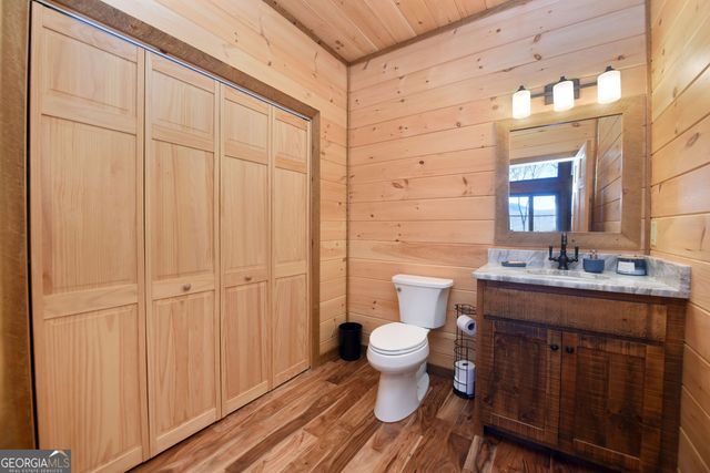 306 Native Trail, Blue Ridge, GA 30513