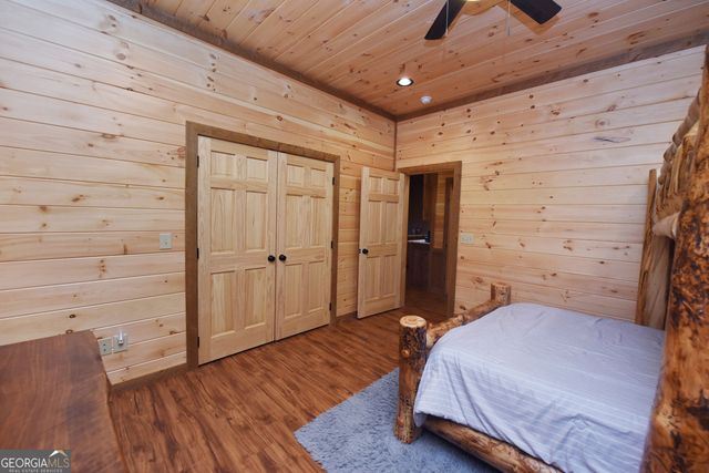 306 Native Trail, Blue Ridge, GA 30513