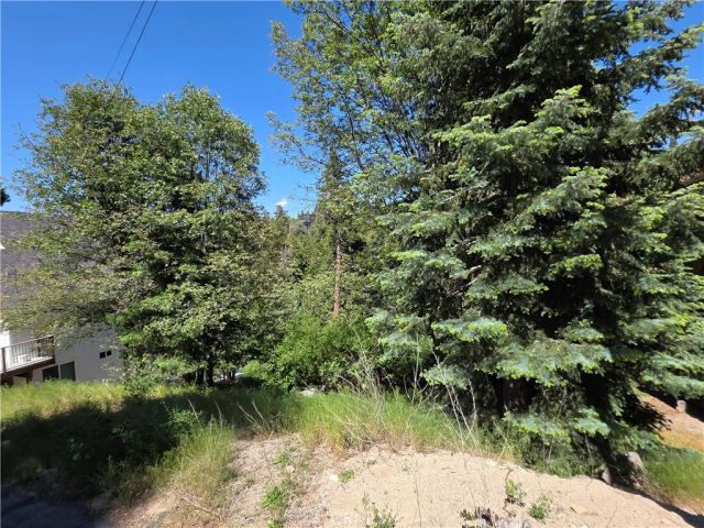 0 Shenandoah, Lake Arrowhead, CA 92352