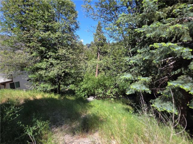 0 Shenandoah, Lake Arrowhead, CA 92352