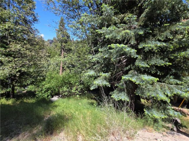 0 Shenandoah, Lake Arrowhead, CA 92352