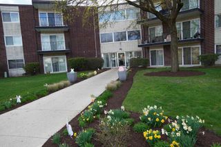 2800 Maple Avenue 10A, Downers Grove, IL 60515