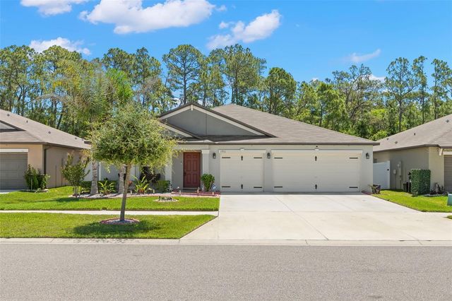 13511 WILLOW BLUESTAR LOOP, Riverview, FL 33579