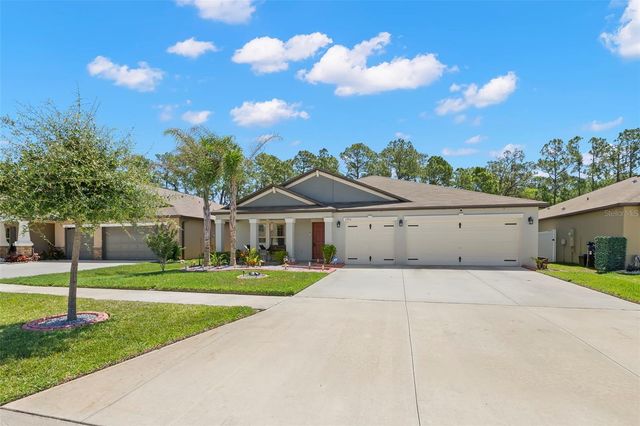 13511 WILLOW BLUESTAR LOOP, Riverview, FL 33579