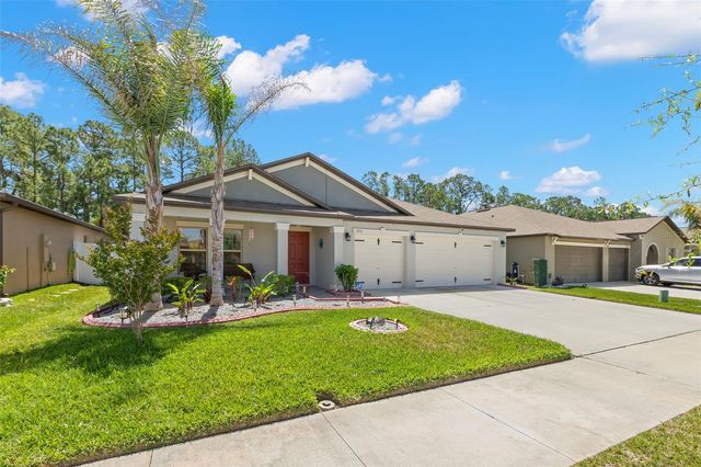 13511 WILLOW BLUESTAR LOOP, Riverview, FL 33579