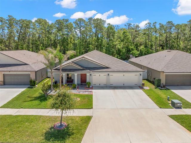 13511 WILLOW BLUESTAR LOOP, Riverview, FL 33579
