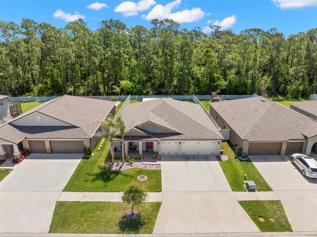 13511 WILLOW BLUESTAR LOOP, Riverview, FL 33579