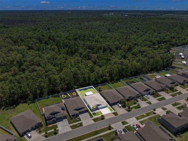 13511 WILLOW BLUESTAR LOOP, Riverview, FL 33579