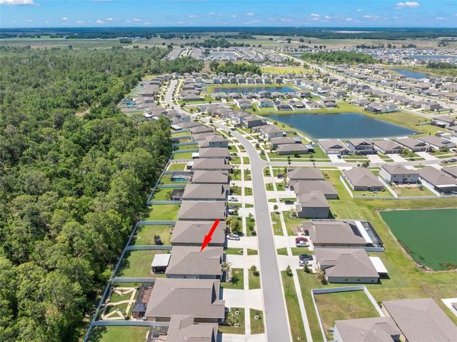 13511 WILLOW BLUESTAR LOOP, Riverview, FL 33579