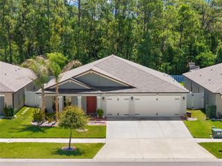 13511 WILLOW BLUESTAR LOOP, Riverview, FL 33579