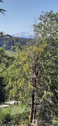 261 NE WJ Way, Belfair, WA 98528