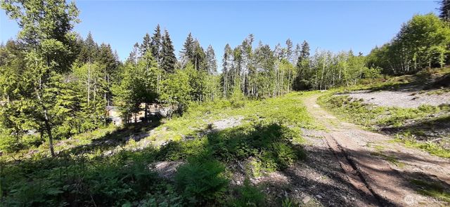 261 NE WJ Way, Belfair, WA 98528