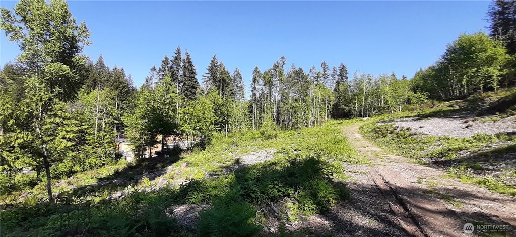 261 NE WJ Way, Belfair, WA 98528