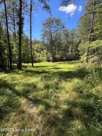 1945 Broadford Rd, Munfordville, KY 42765