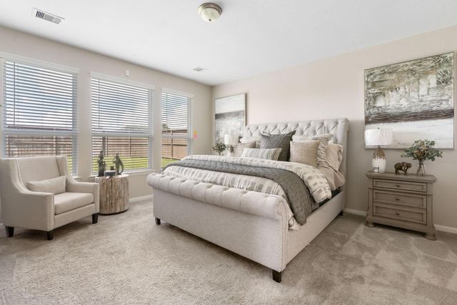 20147 Bushwick Falls Drive, Montgomery, TX 77316