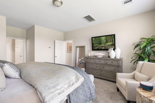 20147 Bushwick Falls Drive, Montgomery, TX 77316