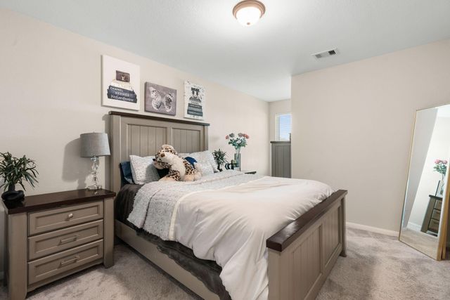 20147 Bushwick Falls Drive, Montgomery, TX 77316