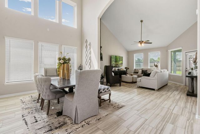 20147 Bushwick Falls Drive, Montgomery, TX 77316