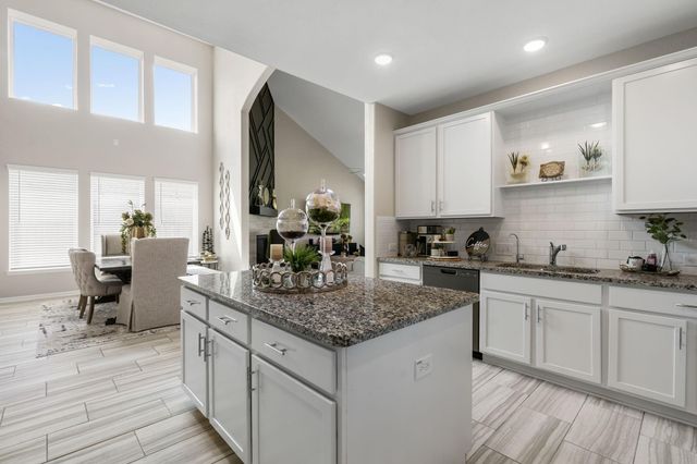 20147 Bushwick Falls Drive, Montgomery, TX 77316