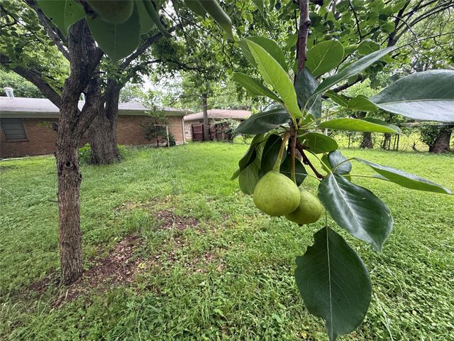 2402 W 5th Avenue, Corsicana, TX 75110