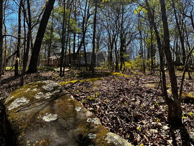 1860 Plum Nelly Road, Rising Fawn, GA 30738