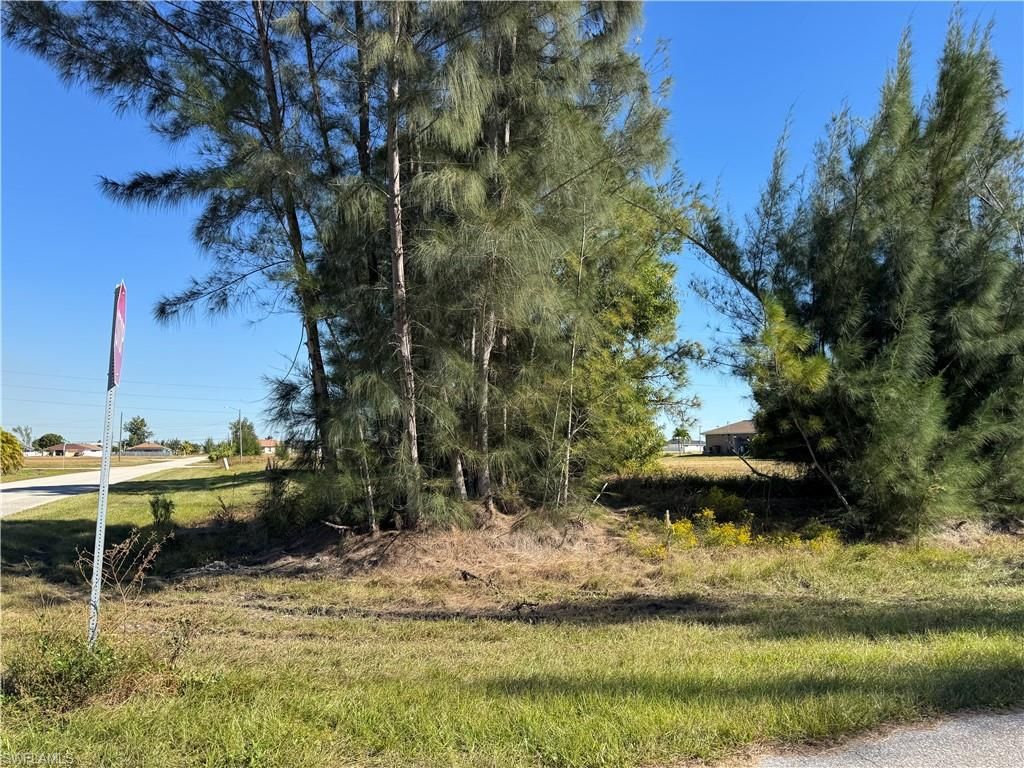 1729 NW 1st AVE, CAPE CORAL, FL 33993 — photo 3
