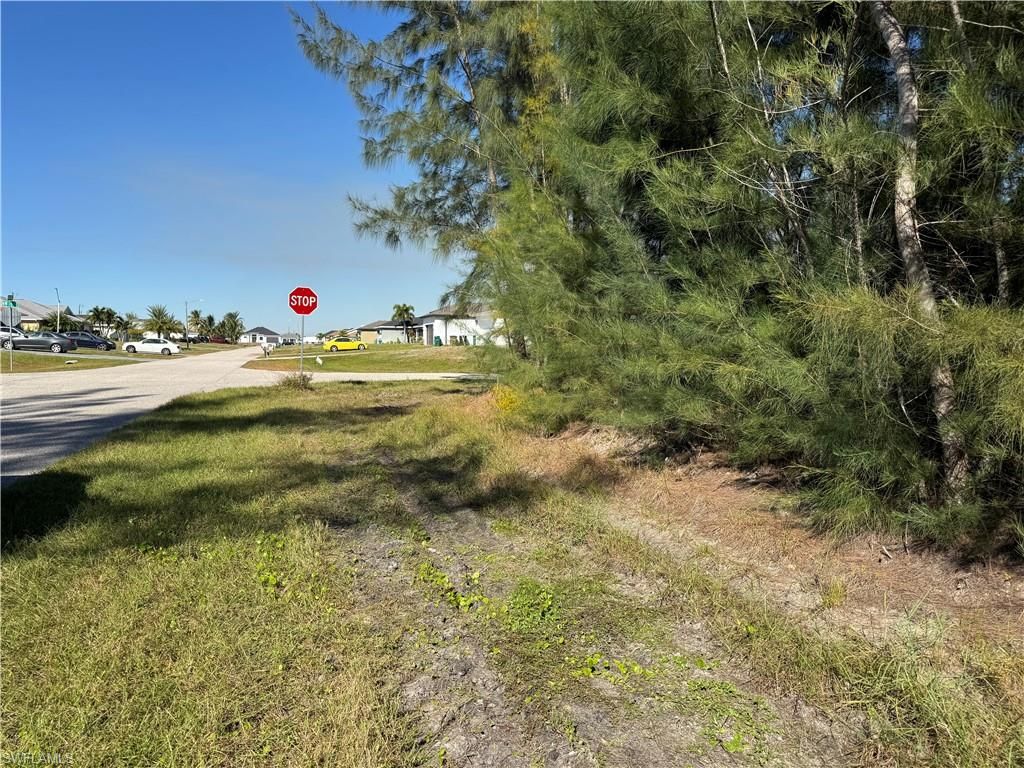 1729 NW 1st AVE, CAPE CORAL, FL 33993 — photo 4