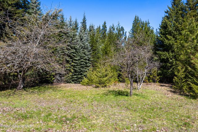 1169 Algoma Spur RD, Sagle, ID 83860