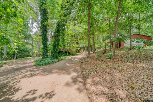 15818 Mountainview Rd, Winona, TX 75792