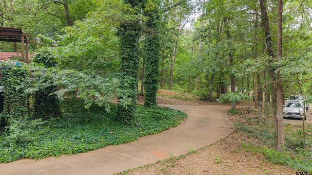 15818 Mountainview Rd, Winona, TX 75792