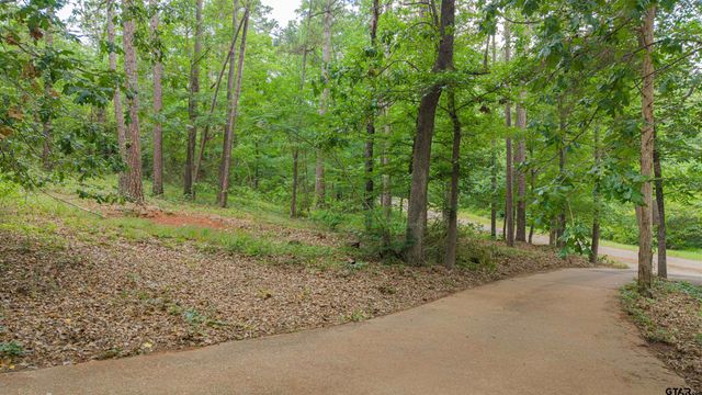 15818 Mountainview Rd, Winona, TX 75792