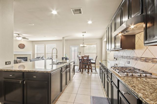 25407 Terrain Park Drive, Spring, TX 77373