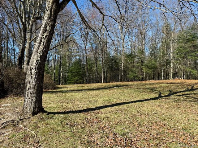 110 Eldred Yulan Road, Eldred, NY 12732