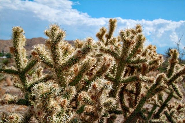 1 Polaris, Morongo Valley, CA 92256