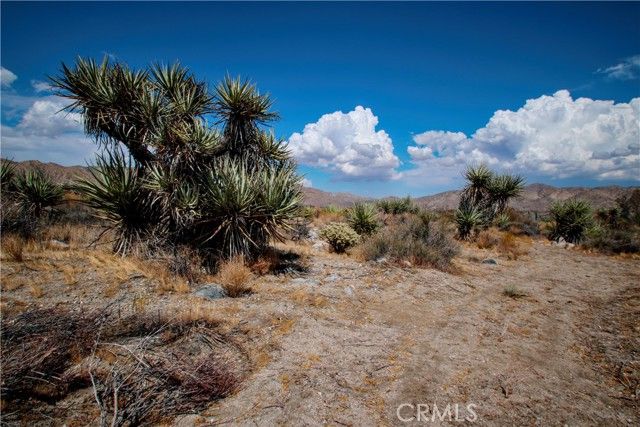 1 Polaris, Morongo Valley, CA 92256