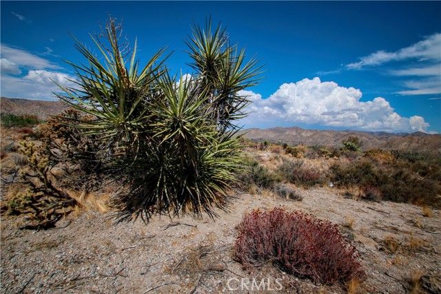 1 Polaris, Morongo Valley, CA 92256