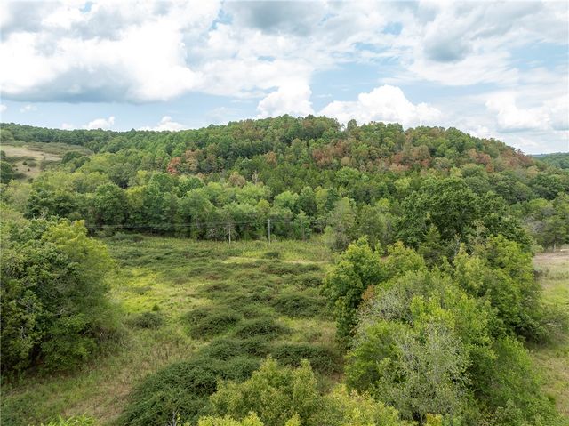 Capps Ranches Road, Rogers, AR 72756