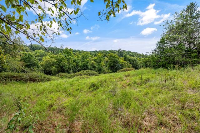Capps Ranches Road, Rogers, AR 72756