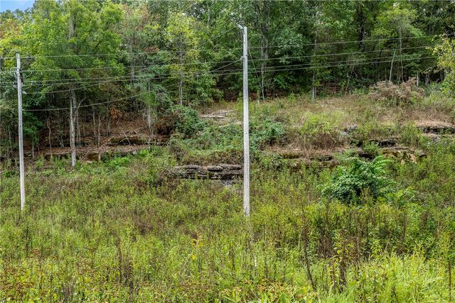 Capps Ranches Road, Rogers, AR 72756