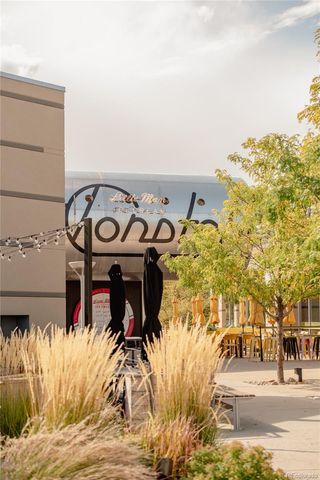 10007 Martin Luther King Boulevard 101, Denver, CO 80238