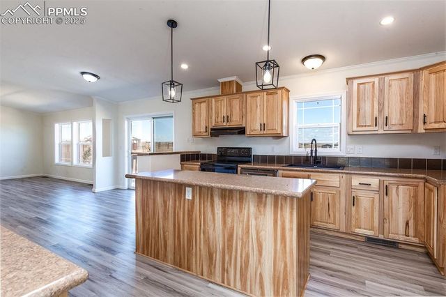30008 Lonesome Dove Lane, Calhan, CO 80808