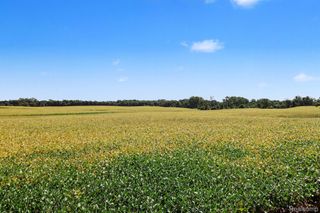 Parcel A N Hacker Road, Hartland Township, MI 48843