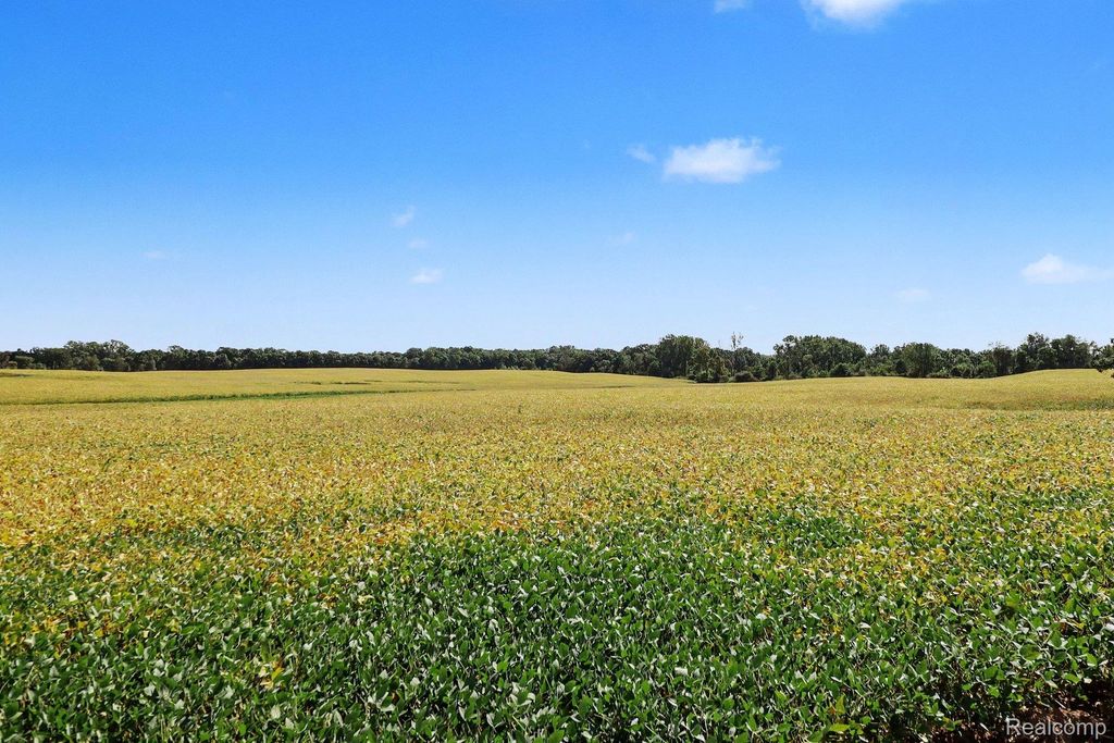 Parcel A N Hacker Road, Hartland Township, MI 48843