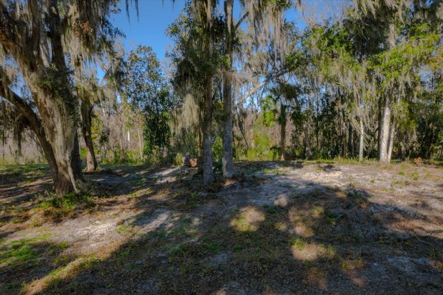 114 Ridgeline Avenue, Satsuma, FL 32189